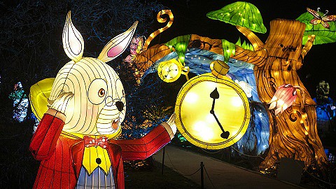 Alice in Magical Garden 1.JPG